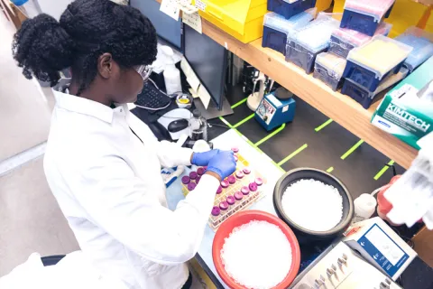 Woman researcher looks at her work