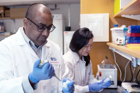 Researcher in lab uses syringe to transfer liquid into vial